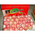 2015 New Fresh Red Star Apple